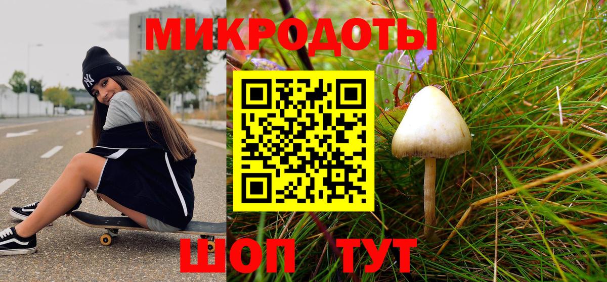 Псилоцибиновые грибы Psilocybe  Вход с VPN  Кинель 